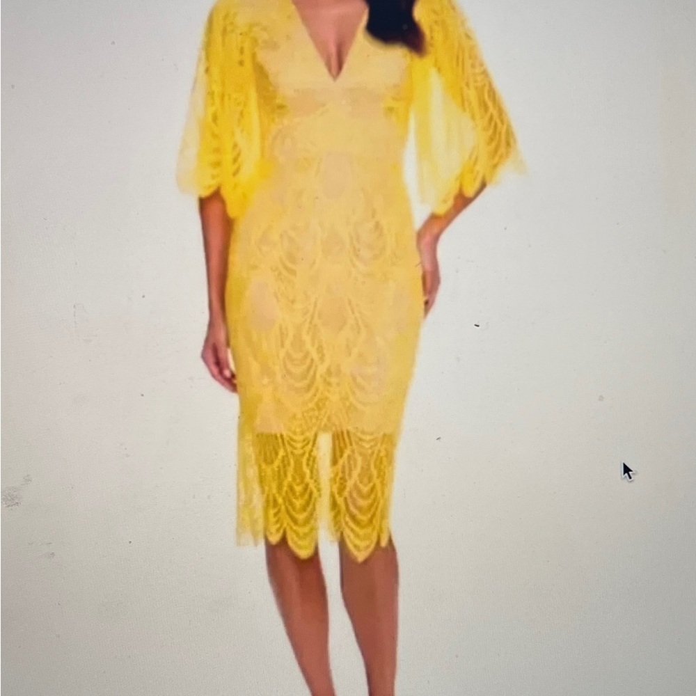 Sexy, Ethereal Yellow Lace Angel Wing Dress